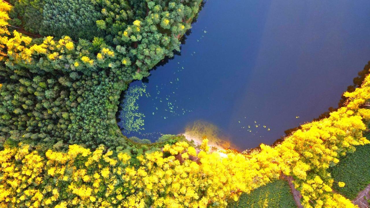 Over The River - Widok Na Rzeke, Przy Parku, Parking, Winda, Netflix I Max, Centrum Iława Kültér fotó